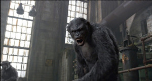 dawn of the planet of the apes image